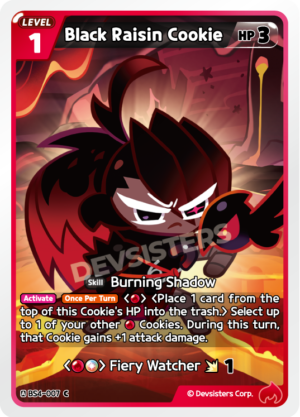 Black Raisin Cookie (BS4-007)